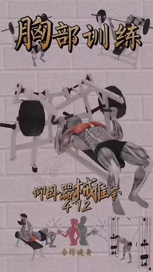 Fitness Equipment / Gym Equipment / Flat Bench Press 